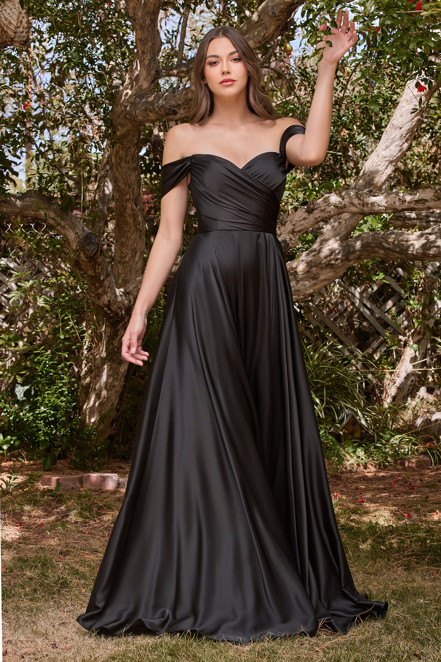 MODELO - 2948