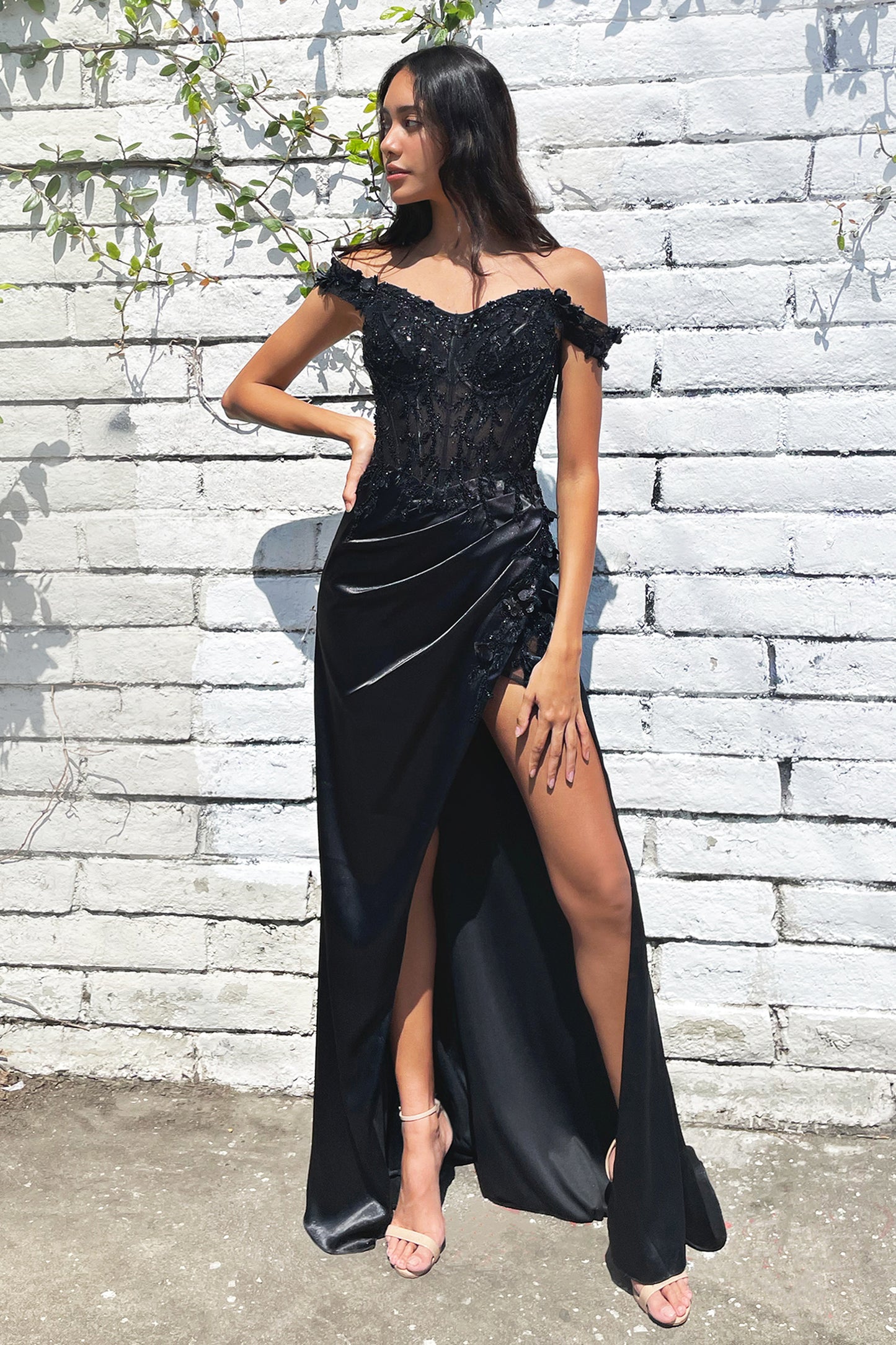 MODELO - FLCD0186
