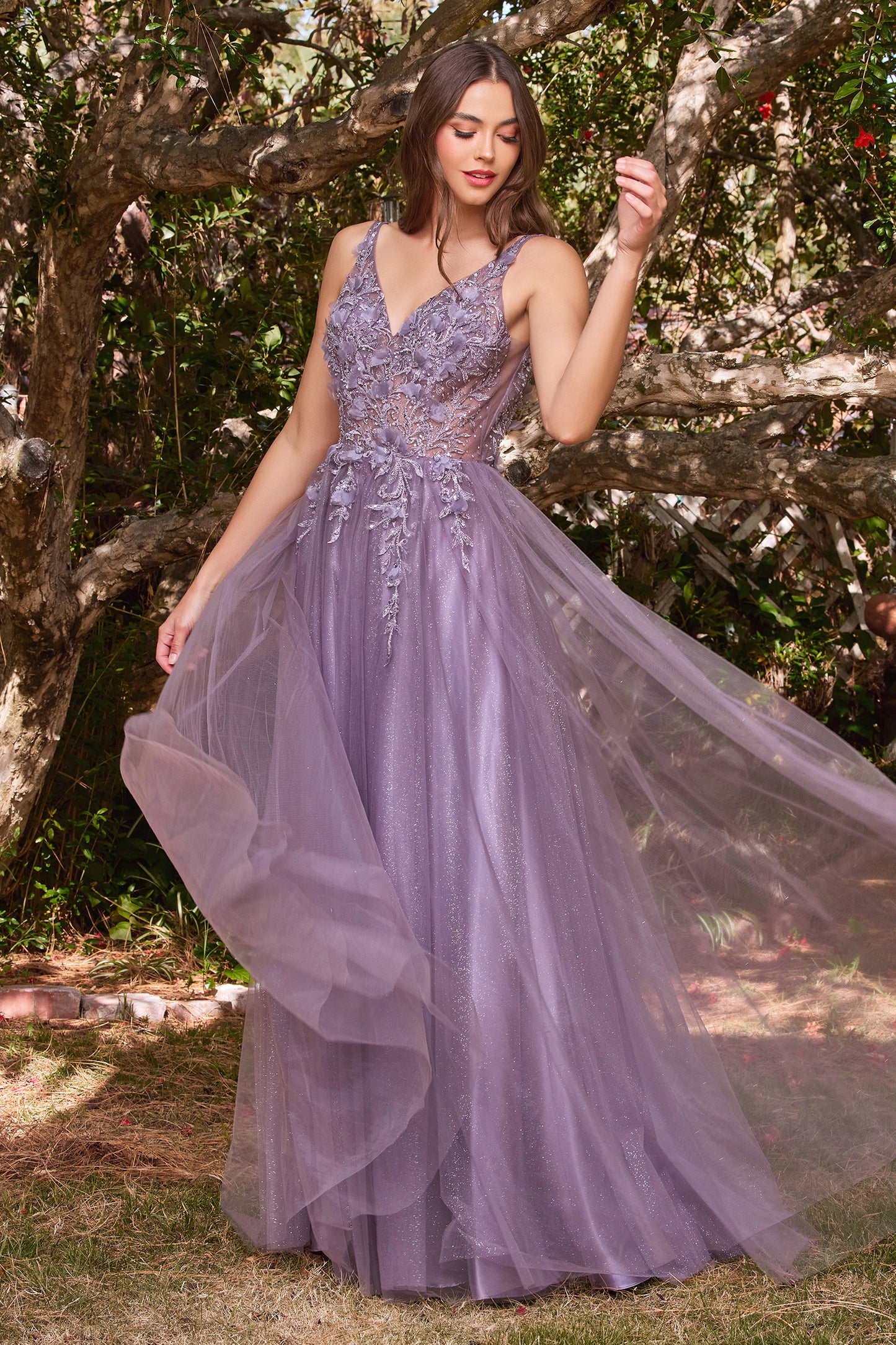 MODELO - FLCD0181