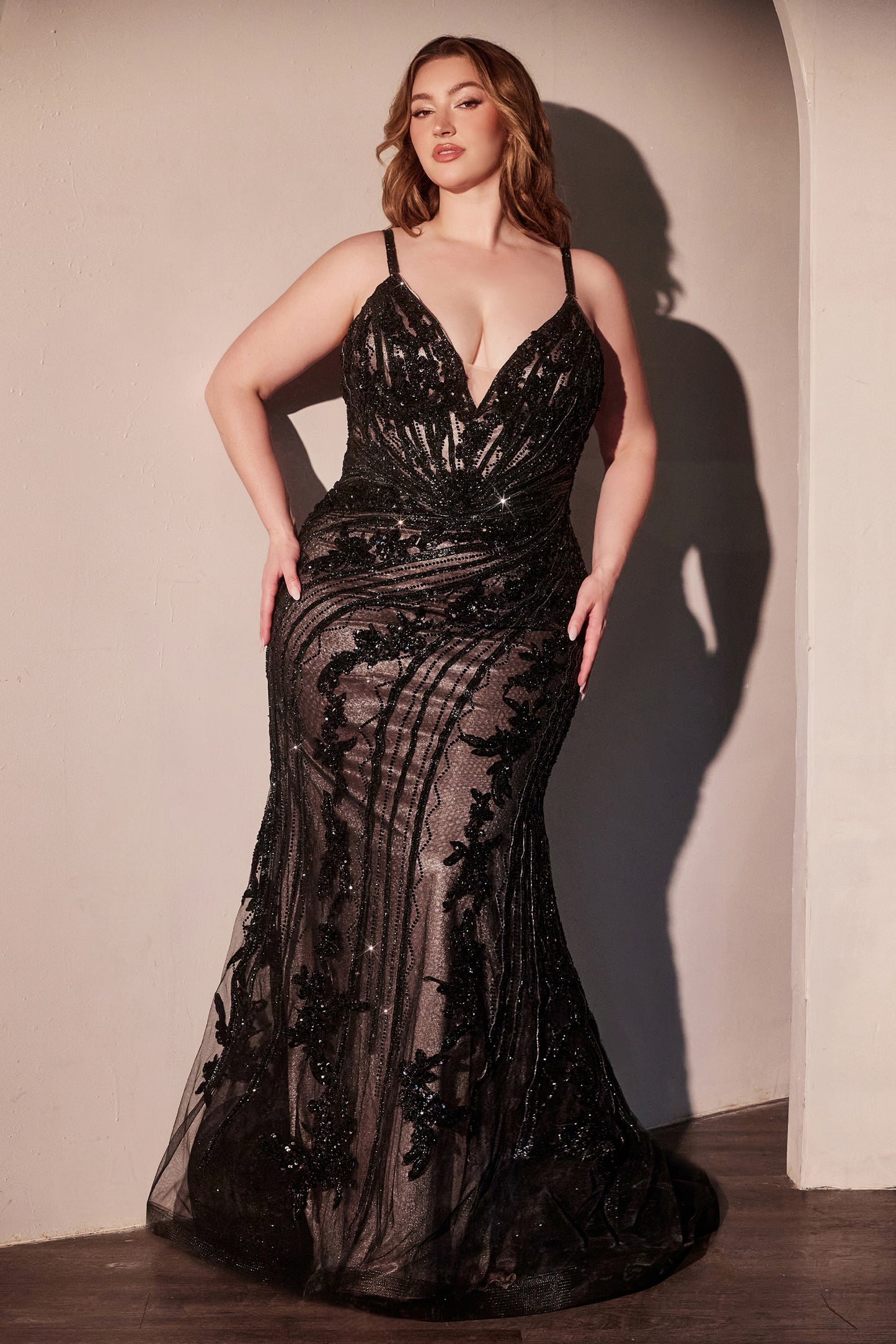 MODELO - FLCC0389