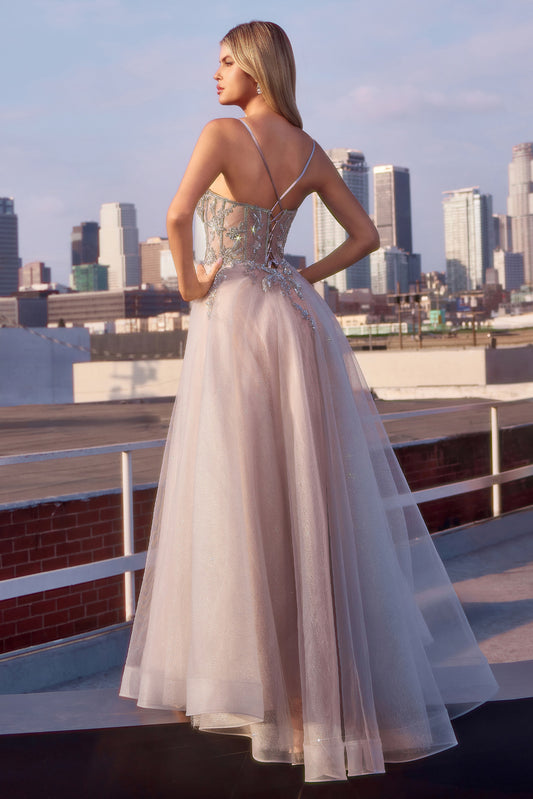 MODELO - FLCC0881