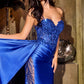 MODELO - FLCDS565